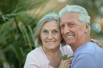 Cute elderly couple on a summer walk