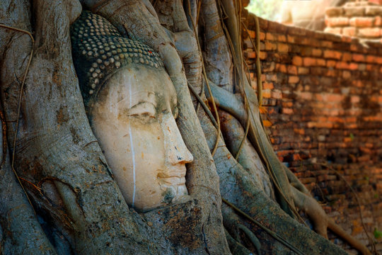 Famous Buddha Head with Banyan Tree Root at Wat Mahathat Temple in Ayutthaya Historical Park, a UNESCO world heritage site, Thailand