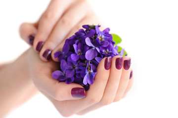 Fototapeta premium Hands of a woman with dark purple manicure on nails and bouquet of violets on a white background