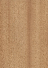 Wood texture