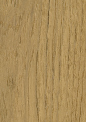 Wood texture