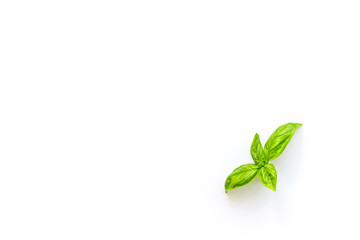 Fresh branch with leaves of organic basil seen from above isolated on a white background