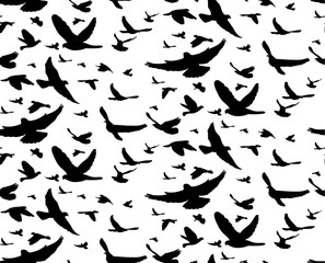  abstract background black silhouette of flying birds, seamless