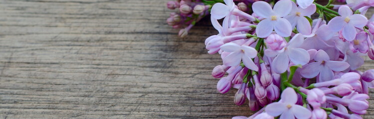 Banner of tender lilac flowers on rustic wooden background 