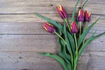 Red tulips on an antique wooden background. Copy space.