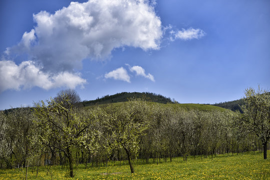 Country side