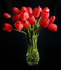 Bouquet of red tulips on black background