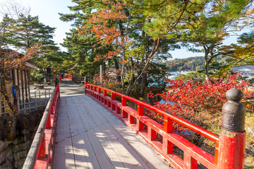 Fototapeta na wymiar Matsushima and red bridge