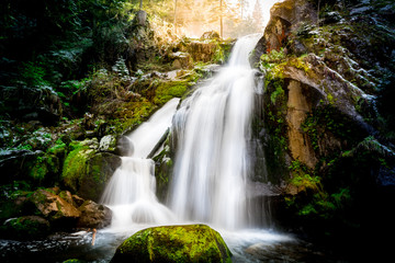 Fototapeta premium Waterfall