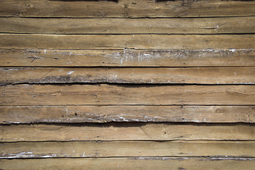 Nature brown wood background