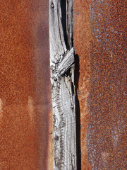 Wood nailed to rusty surface