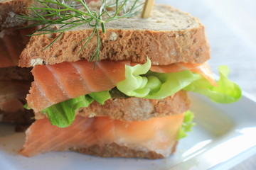 Fresh salmon sandwich