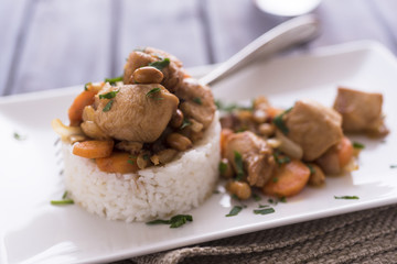 Chicken with rice and peanuts