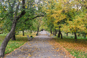 Fototapeta premium An empty park in Prague during Autumn