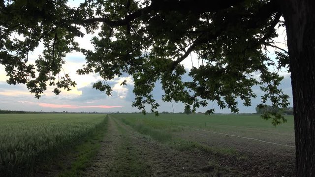 sunset on dirt road in Italian countryside