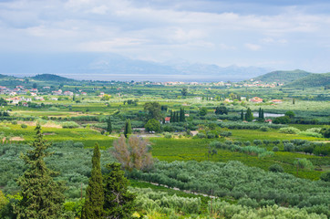 Fototapeta na wymiar Landscape of Zakynthos, Greece