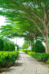 Stone Pathway in the Green Park