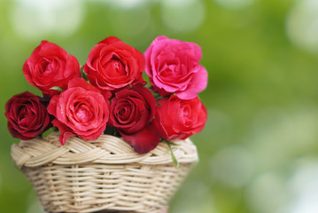 beautiful red and pink roses flower basket over green background in vintage tone with copy space