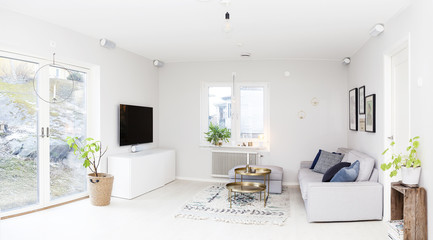 fancy modern livingroom in scandinavian style