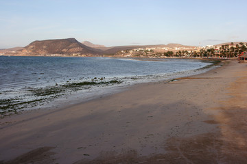 Fototapeta na wymiar Malecon in la Paz, Baja California Sur, Mexico