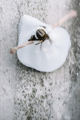 Attractive blond girl in forest dressed in communion