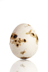 Quail eggs are isolated on a white background