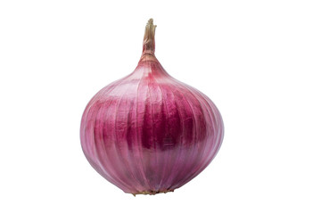 one unpeeled whole bulb onion isolated on white front