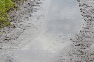 Lesumdeich und Umgebung in Bremen-Marssel im Frühling