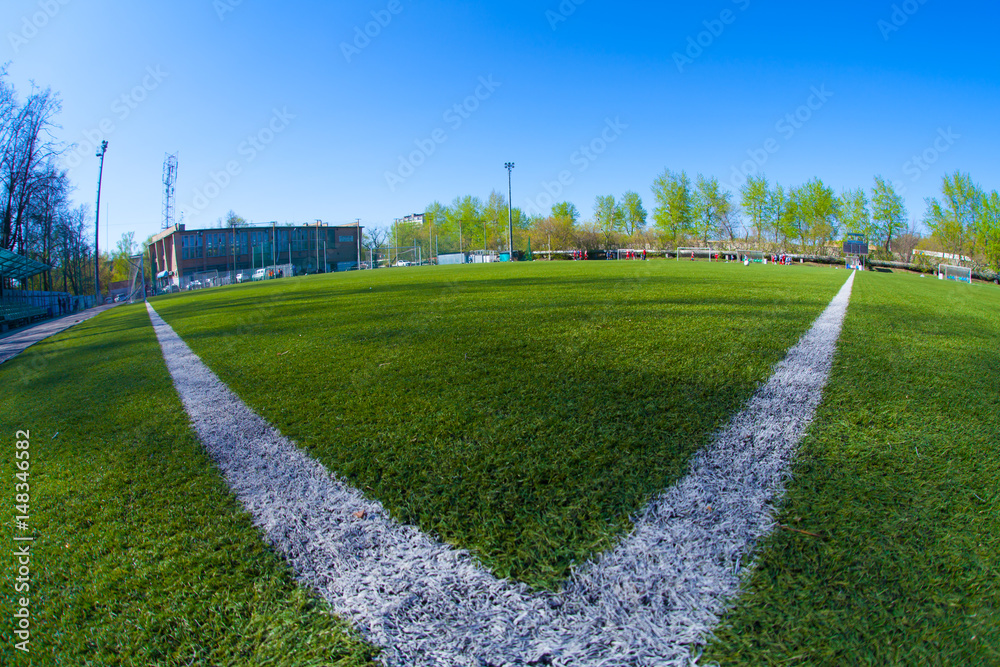 Wall mural Soccer arena in sunlight day