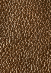 Textured leather