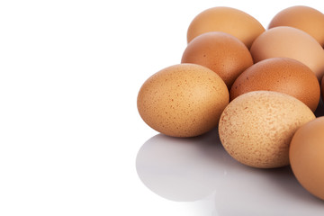 Chicken Eggs