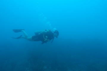 Diving in Puerto Rico
