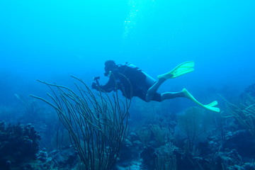 Diving in Puerto Rico
