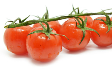 Red cherry tomato