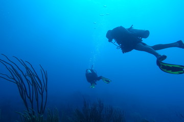 Diving in Puerto Rico