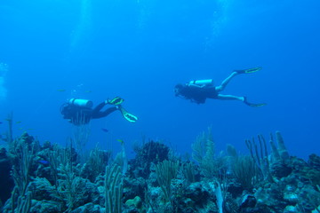 Fototapeta na wymiar Diving in Puerto Rico