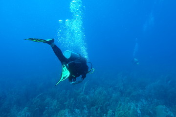 Diving in Puerto Rico