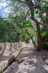 Jerez oasis, Atacama Desert, Chile.