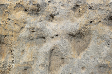sanstone texture background