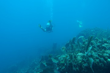 Diving in Puerto Rico