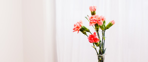 banner med orange nejlikor mot vi bakgrund