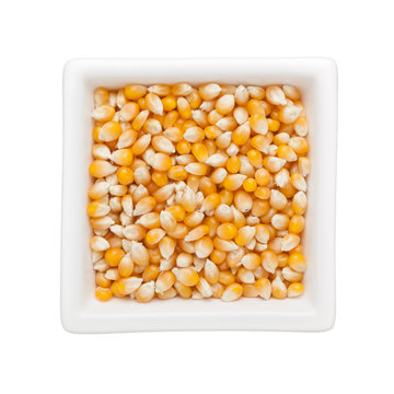 Raw corn kernels
