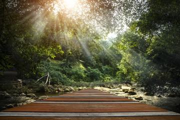 Wooden walkway