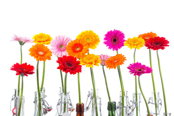 Bunte Blumen in Flaschen vor weißem Hintergrund