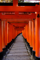 Red Tori Gate of Fushimi Inari Taisha is the head shrine of Inari, located in Fushimi-ku, Kyoto,...