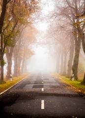 Landstraße im Nebel
