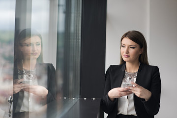 Business Girl Standing In A Modern Building Near The Window With Phone
