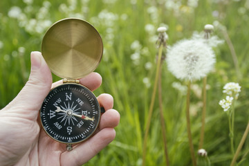 Hand holding compass with nature in background
