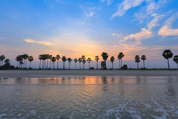 Fotobehang Landscape sunset and Palm Tree at Phetchaburi , Thailand     © rbk365