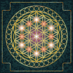 Flower of Life Gold